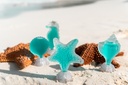 SET MINIATURAS CARIBE 4X3ML 2022
